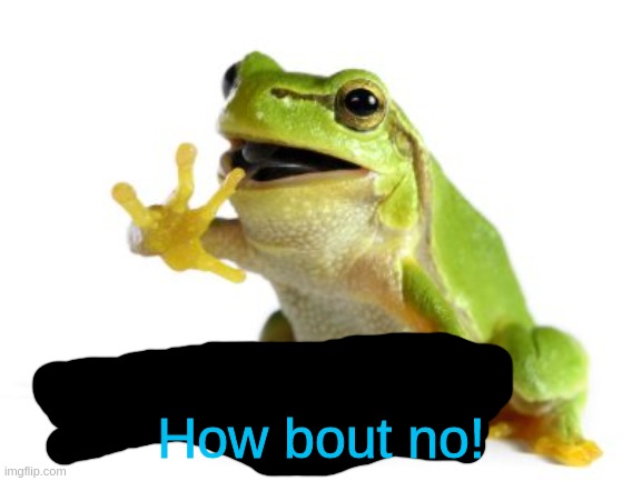 How 'bout no frog | How bout no! | image tagged in how 'bout no frog | made w/ Imgflip meme maker