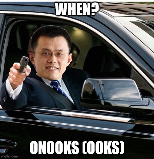 Binance Onooks | WHEN? ONOOKS (OOKS) | image tagged in binance bull market | made w/ Imgflip meme maker