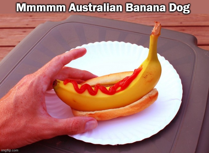 Australian Banana Dog, | Mmmmm Australian Banana Dog | image tagged in banana dog,food vegan foodd | made w/ Imgflip meme maker