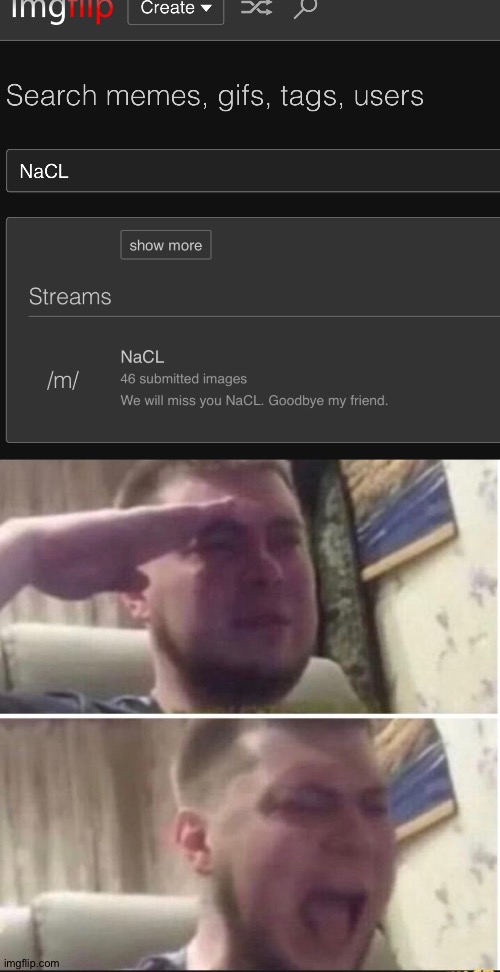 NaCL was deleted?! Nooooo!!!!!!!!!!!! | image tagged in crying salute | made w/ Imgflip meme maker