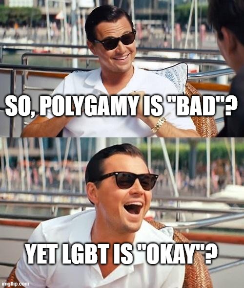 Leonardo Dicaprio Wolf Of Wall Street Meme | SO, POLYGAMY IS "BAD"? YET LGBT IS "OKAY"? | image tagged in memes,leonardo dicaprio wolf of wall street,polygamy,lgbt | made w/ Imgflip meme maker