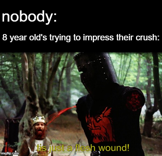 monty python meme 5 | nobody:; 8 year old's trying to impress their crush:; tis just a flesh wound! | image tagged in monty python black knight | made w/ Imgflip meme maker