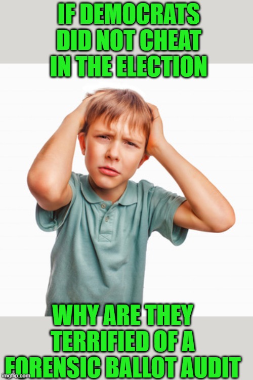 yep | IF DEMOCRATS DID NOT CHEAT IN THE ELECTION; WHY ARE THEY TERRIFIED OF A FORENSIC BALLOT AUDIT | image tagged in democrats,voter fraud,fascism | made w/ Imgflip meme maker