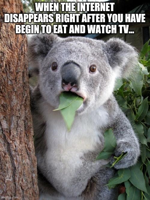 Surprised Koala | WHEN THE INTERNET DISAPPEARS RIGHT AFTER YOU HAVE BEGIN TO EAT AND WATCH TV... | image tagged in memes,surprised koala | made w/ Imgflip meme maker