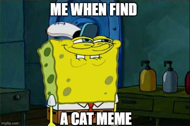 Don't You Squidward | ME WHEN FIND; A CAT MEME | image tagged in memes,don't you squidward,cats | made w/ Imgflip meme maker