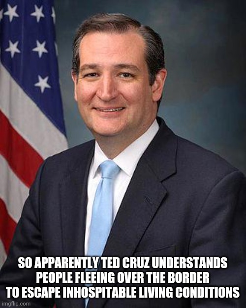 Ted Cruz | SO APPARENTLY TED CRUZ UNDERSTANDS PEOPLE FLEEING OVER THE BORDER TO ESCAPE INHOSPITABLE LIVING CONDITIONS | image tagged in ted cruz | made w/ Imgflip meme maker