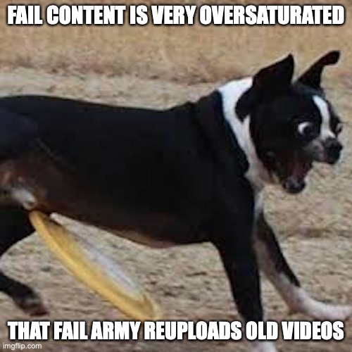 Frisbee Fail | FAIL CONTENT IS VERY OVERSATURATED; THAT FAIL ARMY REUPLOADS OLD VIDEOS | image tagged in frisbee,dog,funny,memes | made w/ Imgflip meme maker