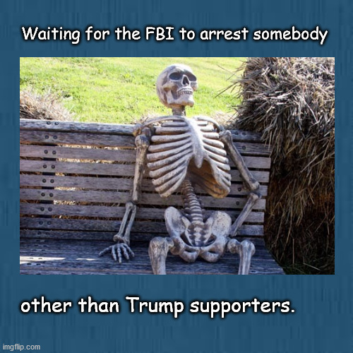 waiting for the FBI to arrest somebody | Waiting for the FBI to arrest somebody; other than Trump supporters. | image tagged in politics | made w/ Imgflip meme maker