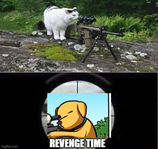 Sniper cat | REVENGE TIME | image tagged in sniper cat | made w/ Imgflip meme maker