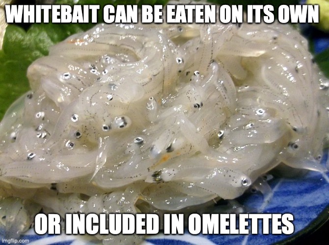 Whitebait Sashimi |  WHITEBAIT CAN BE EATEN ON ITS OWN; OR INCLUDED IN OMELETTES | image tagged in memes,food | made w/ Imgflip meme maker