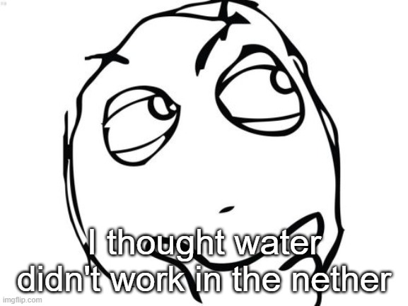 Question Rage Face Meme | I thought water didn't work in the nether | image tagged in memes,question rage face | made w/ Imgflip meme maker