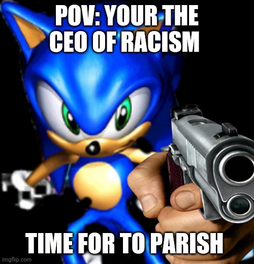 POV: YOUR THE CEO OF RACISM; TIME FOR TO PARISH | image tagged in memes,funny,pov,sonic | made w/ Imgflip meme maker