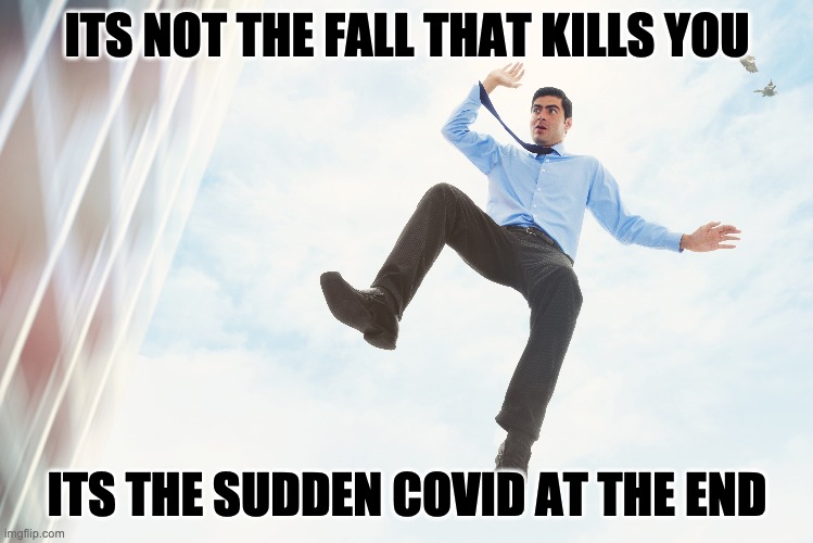 Its the COVID | ITS NOT THE FALL THAT KILLS YOU; ITS THE SUDDEN COVID AT THE END | image tagged in covid,corona,virus,covid19 | made w/ Imgflip meme maker