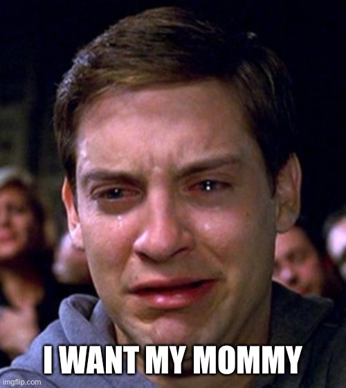 crying peter parker | I WANT MY MOMMY | image tagged in crying peter parker | made w/ Imgflip meme maker