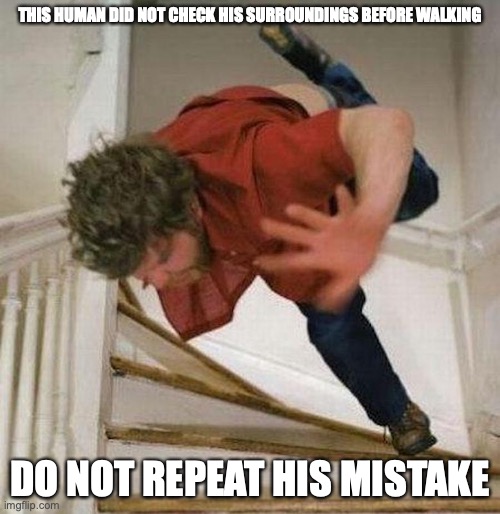 Fall Down Stairs | THIS HUMAN DID NOT CHECK HIS SURROUNDINGS BEFORE WALKING; DO NOT REPEAT HIS MISTAKE | image tagged in memes,stairs | made w/ Imgflip meme maker