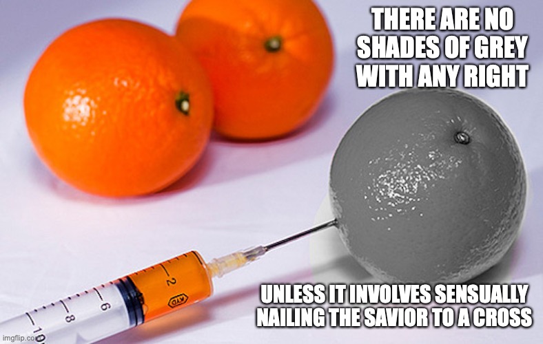 Gray Orange | THERE ARE NO SHADES OF GREY WITH ANY RIGHT; UNLESS IT INVOLVES SENSUALLY NAILING THE SAVIOR TO A CROSS | image tagged in human rights,memes | made w/ Imgflip meme maker
