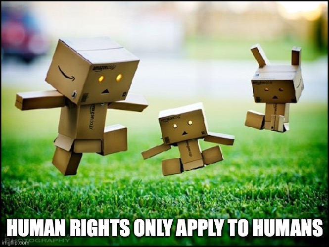 Anthropomorphic Amazon Boxes | HUMAN RIGHTS ONLY APPLY TO HUMANS | image tagged in human rights,memes | made w/ Imgflip meme maker