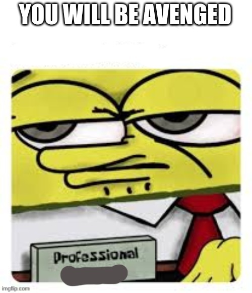 professional spongebob | YOU WILL BE AVENGED | image tagged in professional spongebob | made w/ Imgflip meme maker