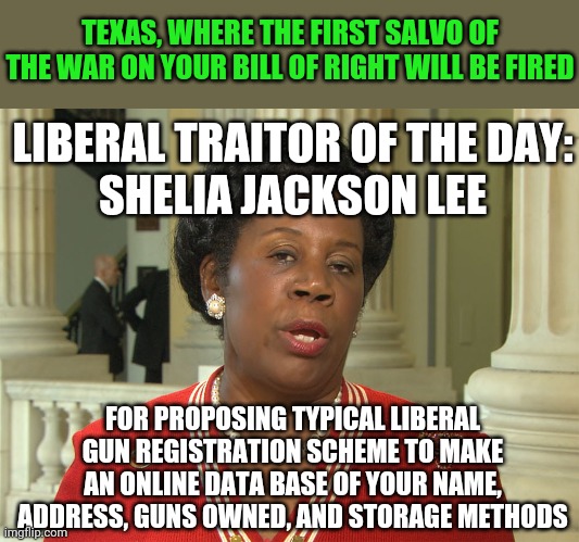 I guess gun control was inevitable when you elect anti-American left wingers into power. | TEXAS, WHERE THE FIRST SALVO OF THE WAR ON YOUR BILL OF RIGHT WILL BE FIRED; LIBERAL TRAITOR OF THE DAY:
SHELIA JACKSON LEE; FOR PROPOSING TYPICAL LIBERAL GUN REGISTRATION SCHEME TO MAKE AN ONLINE DATA BASE OF YOUR NAME, ADDRESS, GUNS OWNED, AND STORAGE METHODS | image tagged in sheila jackson lee,gun control,liberal logic,traitors | made w/ Imgflip meme maker