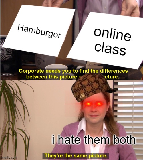 They're The Same Picture | Hamburger; online class; i hate them both | image tagged in memes,they're the same picture | made w/ Imgflip meme maker