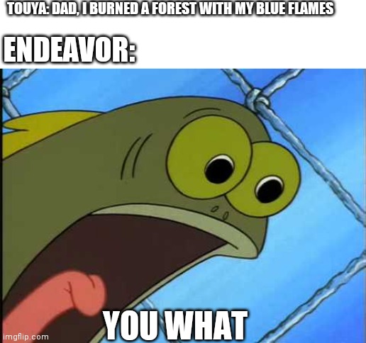 You what?! | TOUYA: DAD, I BURNED A FOREST WITH MY BLUE FLAMES; ENDEAVOR:; YOU WHAT | image tagged in you what,BokuNoMetaAcademia | made w/ Imgflip meme maker