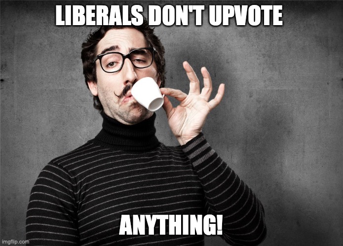 Pretentious Snob | LIBERALS DON'T UPVOTE; ANYTHING! | image tagged in pretentious snob | made w/ Imgflip meme maker