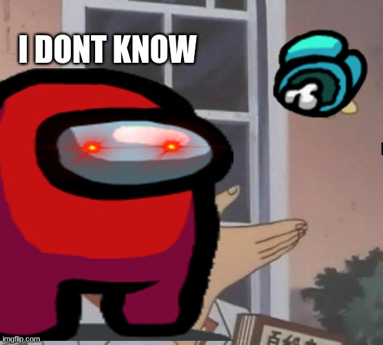 I DONT KNOW | image tagged in memes | made w/ Imgflip meme maker