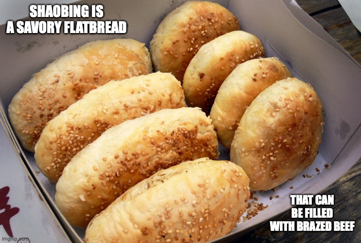 Shaobing | SHAOBING IS A SAVORY FLATBREAD; THAT CAN BE FILLED WITH BRAZED BEEF | image tagged in food,memes | made w/ Imgflip meme maker