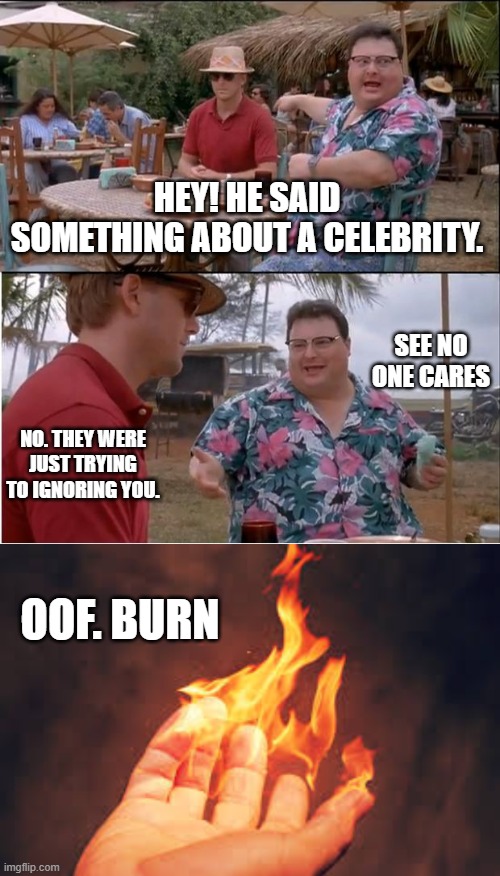 burn | HEY! HE SAID SOMETHING ABOUT A CELEBRITY. SEE NO ONE CARES; NO. THEY WERE JUST TRYING TO IGNORING YOU. OOF. BURN | image tagged in memes,see nobody cares | made w/ Imgflip meme maker