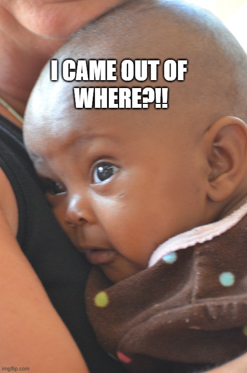 What say? | WHERE?!! I CAME OUT OF | image tagged in lol so funny,funny memes,fun,surprised baby | made w/ Imgflip meme maker