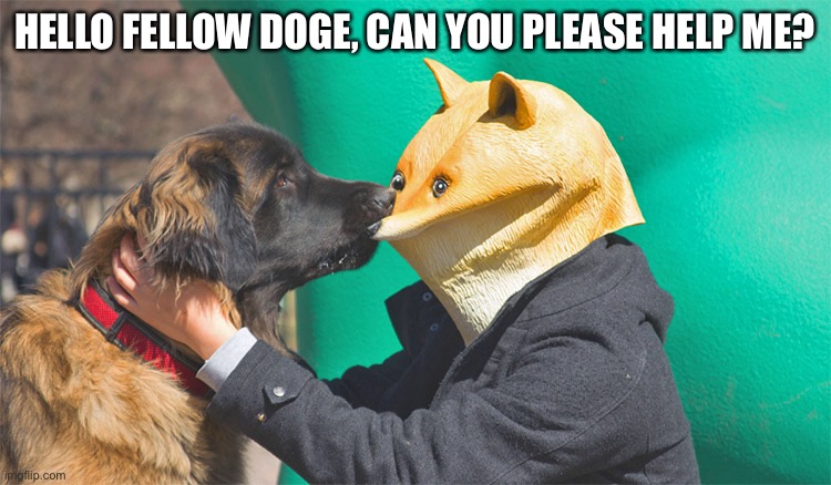 Doge being bitten | HELLO FELLOW DOGE, CAN YOU PLEASE HELP ME? | image tagged in doge being bitten | made w/ Imgflip meme maker