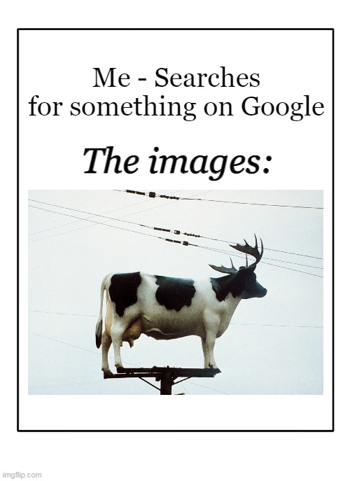 Blank Template | The images:; Me - Searches for something on Google | image tagged in blank template | made w/ Imgflip meme maker
