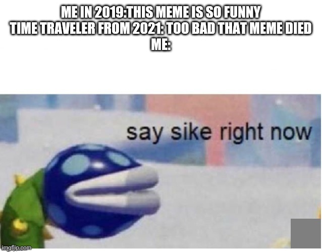 I miss this meme | ME IN 2019:THIS MEME IS SO FUNNY
TIME TRAVELER FROM 2021: TOO BAD THAT MEME DIED
ME: | image tagged in say sike right now | made w/ Imgflip meme maker