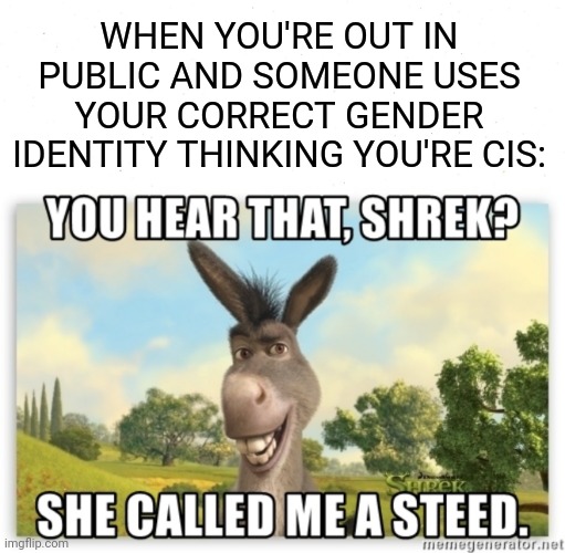 Trans Euphoria | WHEN YOU'RE OUT IN PUBLIC AND SOMEONE USES YOUR CORRECT GENDER IDENTITY THINKING YOU'RE CIS: | image tagged in she called me a steed | made w/ Imgflip meme maker