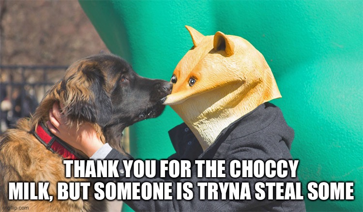 Doge being bitten | THANK YOU FOR THE CHOCCY MILK, BUT SOMEONE IS TRYNA STEAL SOME | image tagged in doge being bitten | made w/ Imgflip meme maker