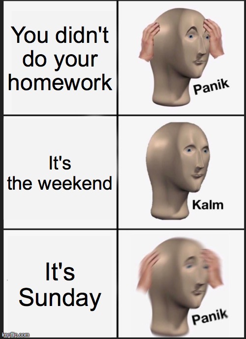 The Homework Incident | You didn't do your homework; It's the weekend; It's Sunday | image tagged in memes,panik kalm panik | made w/ Imgflip meme maker