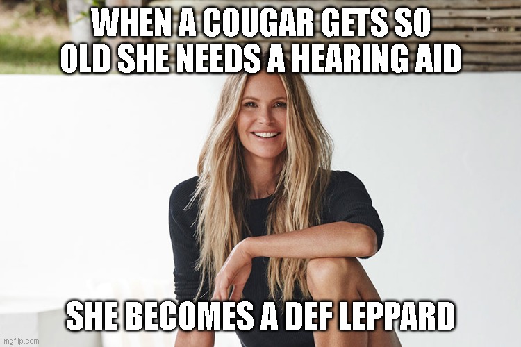 WHEN A COUGAR GETS SO OLD SHE NEEDS A HEARING AID; SHE BECOMES A DEF LEPPARD | image tagged in cougar,memes | made w/ Imgflip meme maker