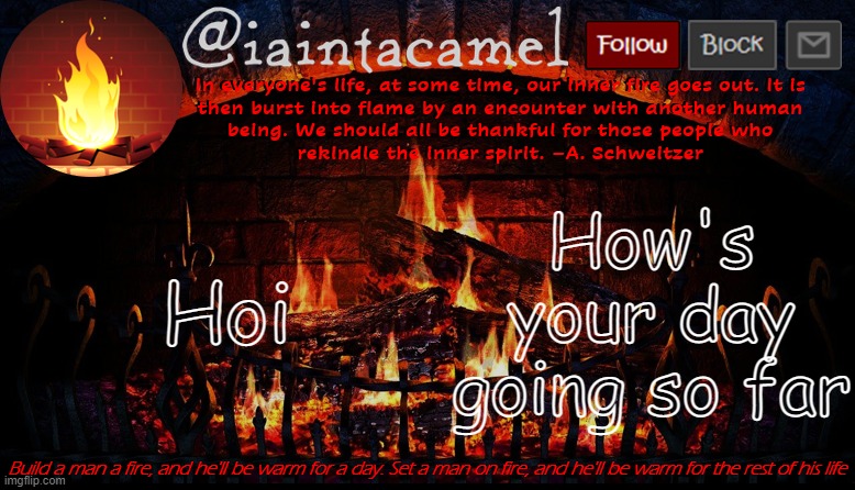 iaintacamel | Hoi; How's your day going so far | image tagged in iaintacamel | made w/ Imgflip meme maker