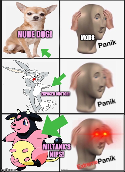 Imgflip mod problems | NUDE DOG! MODS; EXPOSED CROTCH! MILTANK'S NIPS! | image tagged in imgflip mods,problems,panik kalm panik,no pants,cute animals | made w/ Imgflip meme maker