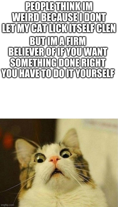 PEOPLE THINK IM WEIRD BECAUSE I DONT LET MY CAT LICK ITSELF CLEN; BUT IM A FIRM BELIEVER OF IF YOU WANT SOMETHING DONE RIGHT YOU HAVE TO DO IT YOURSELF | image tagged in memes,blank transparent square,scared cat | made w/ Imgflip meme maker