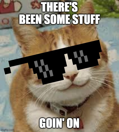 Happy cat | THERE'S BEEN SOME STUFF GOIN' ON | image tagged in happy cat | made w/ Imgflip meme maker