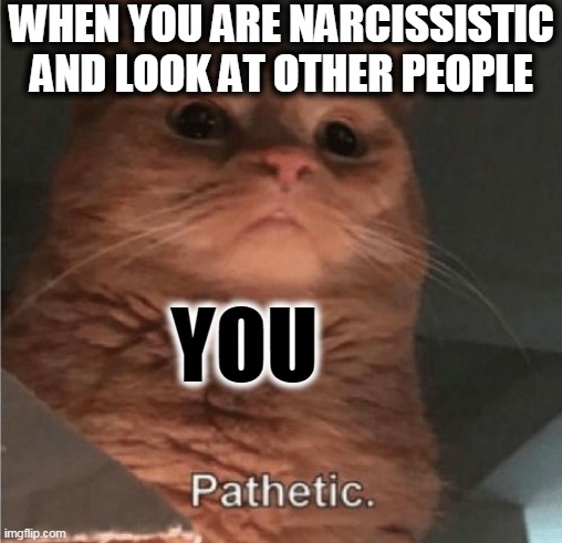 Pathetic Cat | WHEN YOU ARE NARCISSISTIC
AND LOOK AT OTHER PEOPLE; YOU | image tagged in pathetic cat | made w/ Imgflip meme maker
