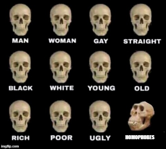 idiot skull | HOMOPHOBES | image tagged in idiot skull | made w/ Imgflip meme maker