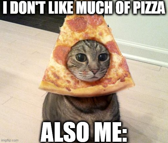pizza cat | I DON'T LIKE MUCH OF PIZZA; ALSO ME: | image tagged in pizza cat | made w/ Imgflip meme maker