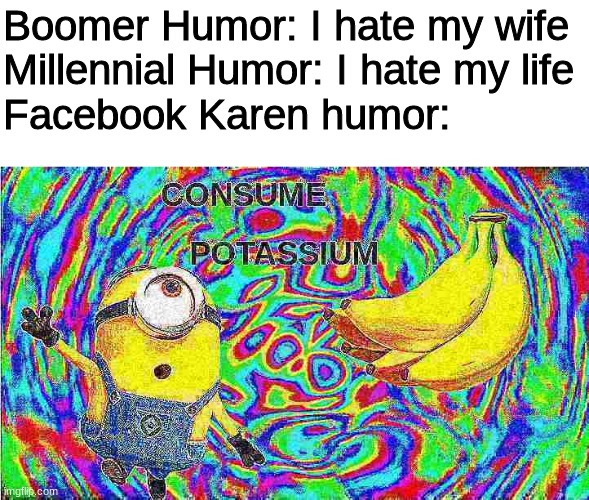 wow | Boomer Humor: I hate my wife
Millennial Humor: I hate my life
Facebook Karen humor: | image tagged in facebook,minions | made w/ Imgflip meme maker