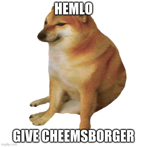 cheems | HEMLO; GIVE CHEEMSBORGER | image tagged in cheems | made w/ Imgflip meme maker