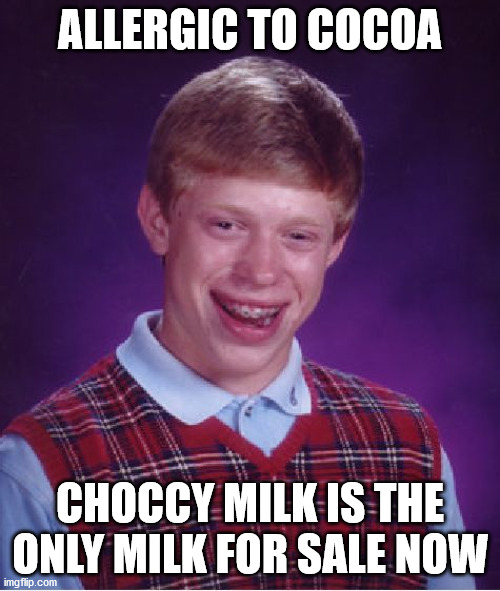 Only choccy cows too x.x | ALLERGIC TO COCOA; CHOCCY MILK IS THE ONLY MILK FOR SALE NOW | image tagged in memes,bad luck brian,choccy milk,chocolate,allergic,sales | made w/ Imgflip meme maker