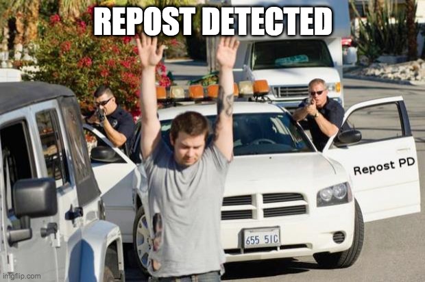 Repost Police | REPOST DETECTED | image tagged in repost police | made w/ Imgflip meme maker
