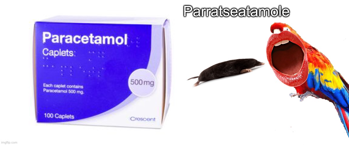 Paracetamol | Parratseatamole | image tagged in memes,paracetamol,lol so funny | made w/ Imgflip meme maker