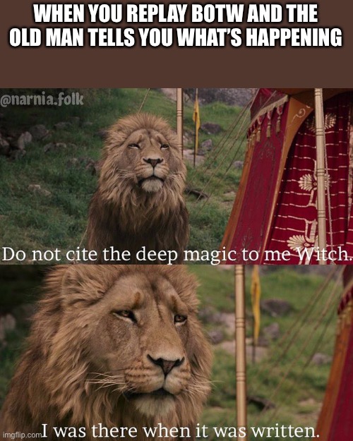 Ngl the old man kinds looked like a witch/wizard | WHEN YOU REPLAY BOTW AND THE OLD MAN TELLS YOU WHAT’S HAPPENING | image tagged in do not cite the deep magic to me witch | made w/ Imgflip meme maker